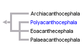 taxon links