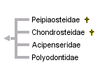 taxon links