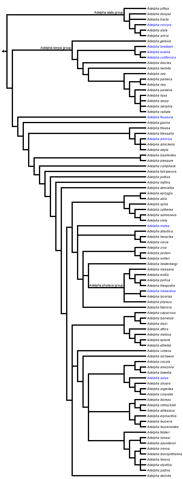 taxon links