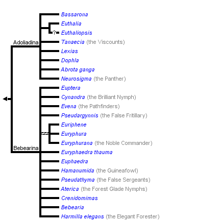 taxon links