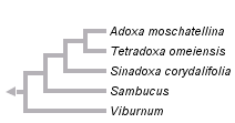 taxon links