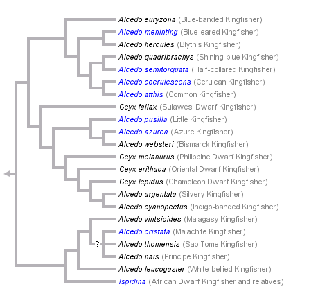 taxon links