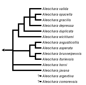 taxon links