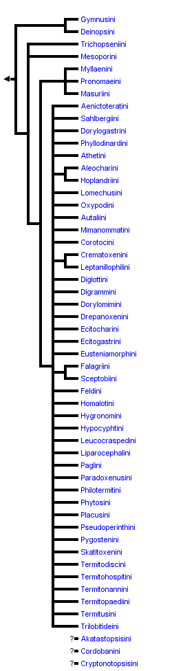 taxon links