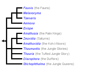 taxon links