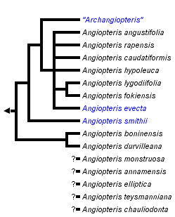 taxon links