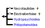 taxon links