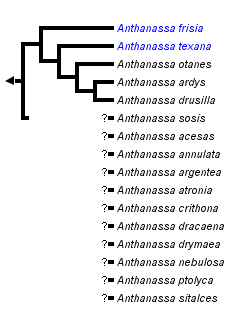 taxon links