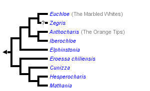 taxon links