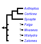 taxon links