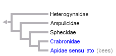 taxon links