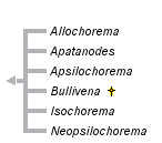 taxon links