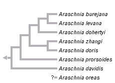 taxon links