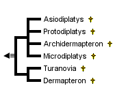 taxon links