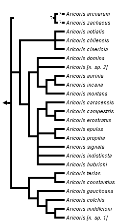 taxon links