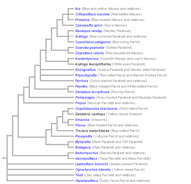 taxon links