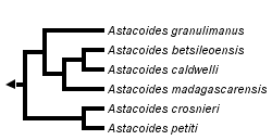 taxon links