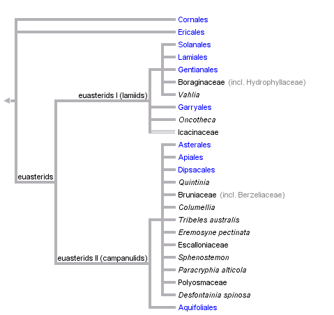 taxon links