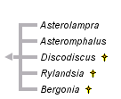 taxon links