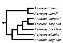 taxon links