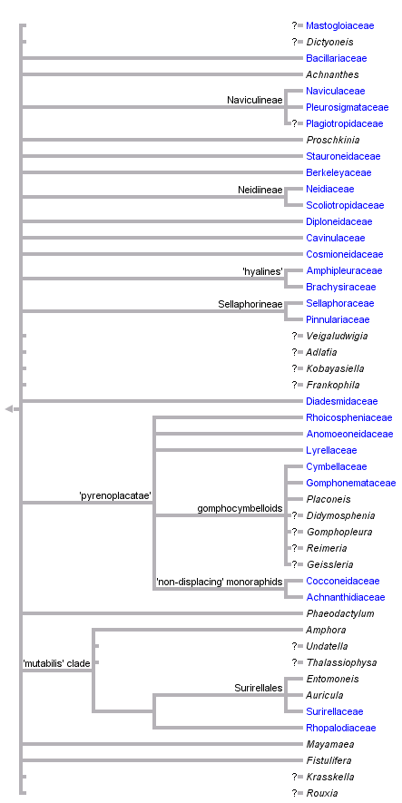 taxon links