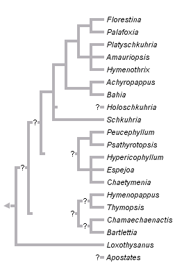 taxon links