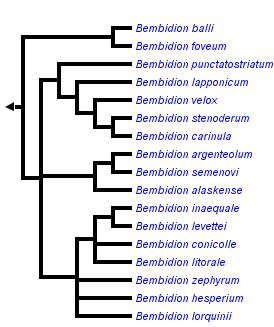 taxon links