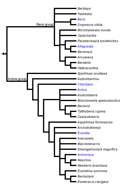 taxon links