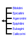 taxon links