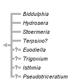 taxon links