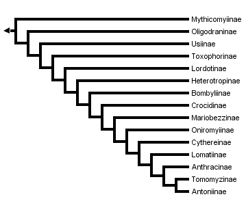 taxon links