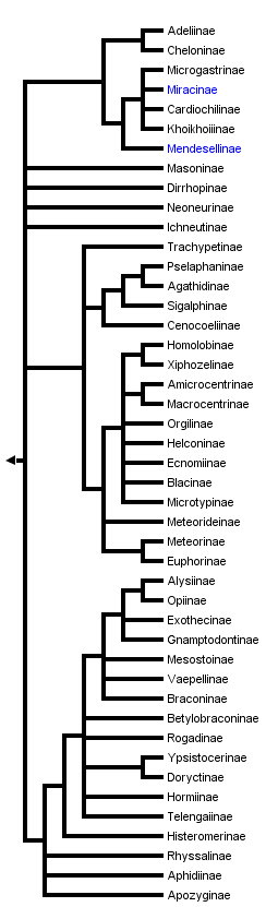 taxon links