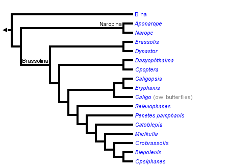 taxon links