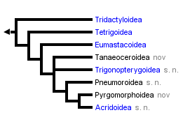 taxon links