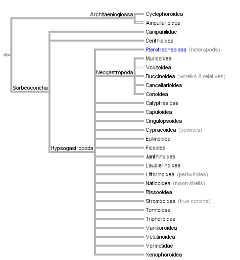 taxon links