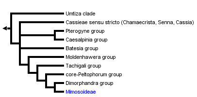 taxon links