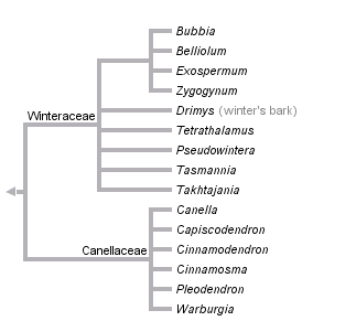 taxon links