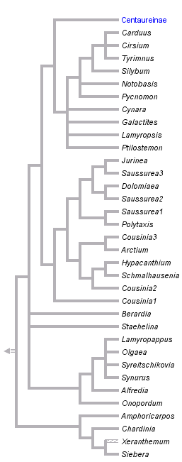 taxon links