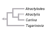 taxon links