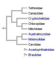 taxon links