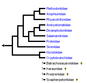 taxon links