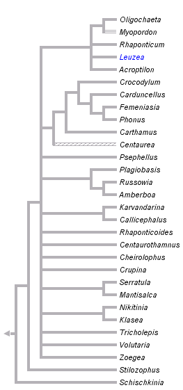 taxon links