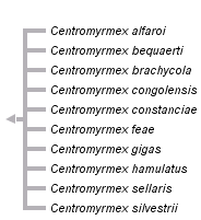 taxon links