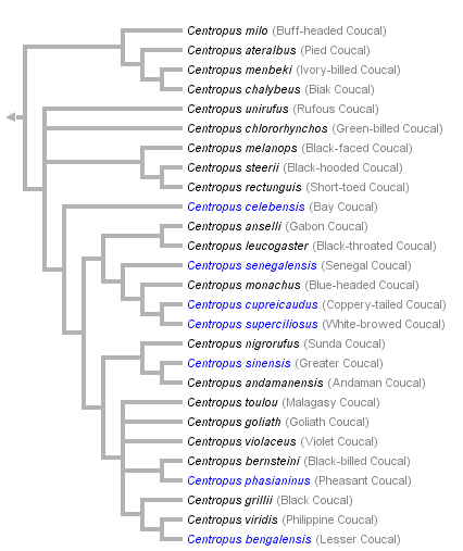 taxon links