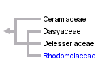 taxon links