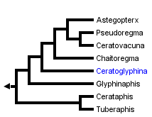 taxon links