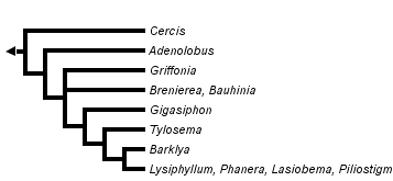 taxon links