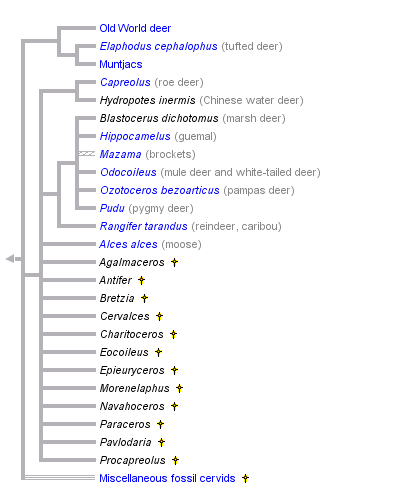 taxon links