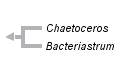 taxon links