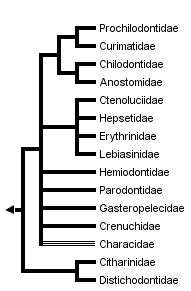 taxon links